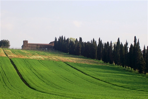 TI RACCONTO SAVIGNANO - PASSEGGIATE DIVULGATIVE ALLA SCOPERTA DI SAVIGNANO SUL RUBICONE