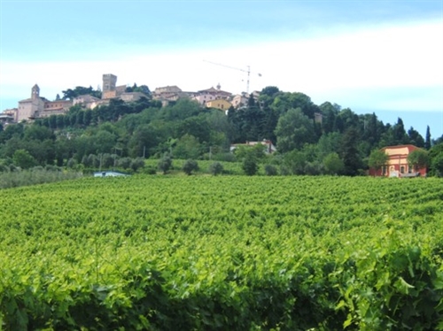 VIAGGIO NEL SANGIOVESE&#58; SOTTOZONA BERTINORO