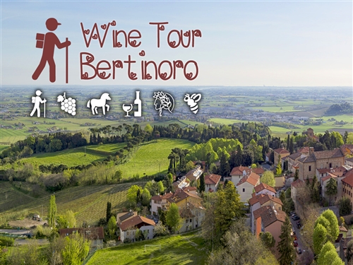 WINE TOUR BERTINORO - DOMENICA 23 APRILE 2017 WINE TOUR BERTINORO - DOMENICA 23 APRILE 2017
