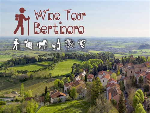 WINE TOUR BERTINORO - DOMENICA 23 APRILE 2017