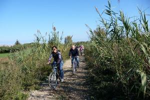 FORL&#204; IN BICI &#58; ARTE, NATURA, CAMPAGNA, SAPORI &#33;