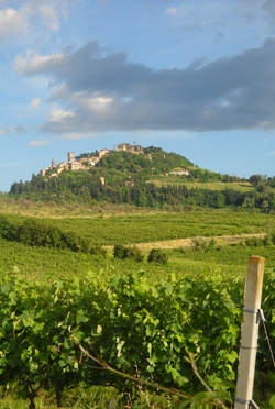 A Bertinoro pacchetti qualità tra gusto, vino e terme del benessere