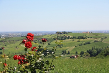 Pasqua 2014 sulla Strada di Forlì-Cesena !