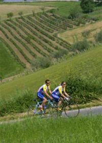 Domenica ritorna la Gran Fondo di cicloturismo Russi - Strada Vini Sapori FC