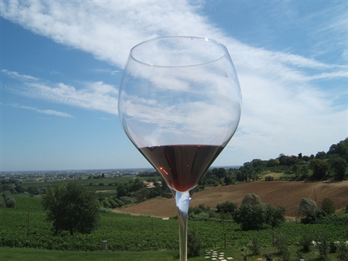 Vini di Romagna