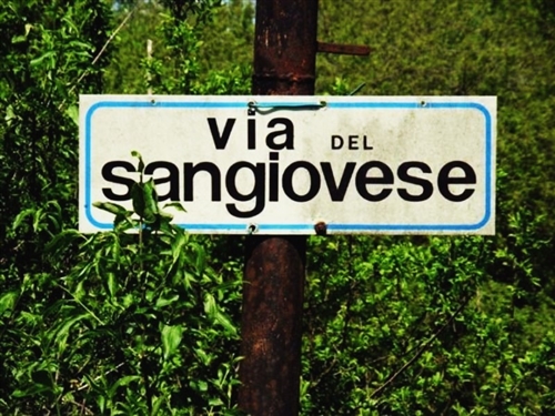 Viaggio nel Sangiovese&#8230;nel cuore della Romagna 