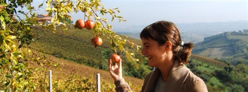 DISCOVER  AND TASTE ORGANIC AND FORGOTTEN PRODUCTS OF ROMAGNA