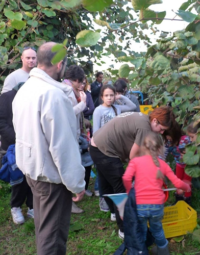 SENSORY EXPERIENCES&#58; TASTE TRADITIONAL RECIPES AND ENJOY THE PLAIN AIR...