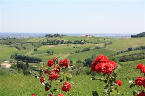 Strada dei Vini e dei Sapori