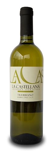 TREBBIANO IGT