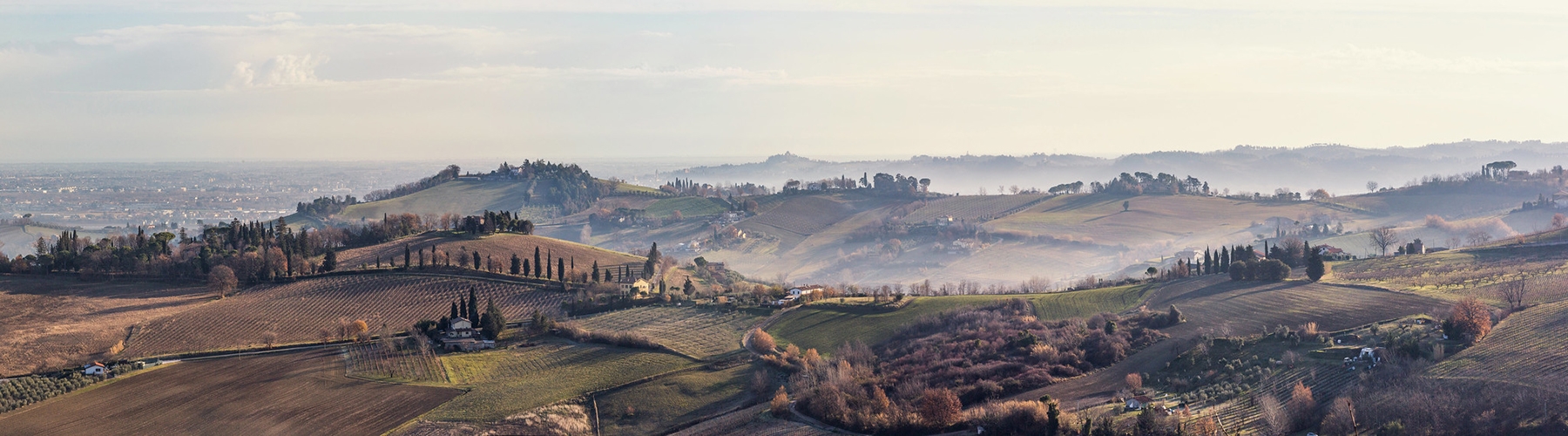 Strada dei Vini e dei Sapordi dei Colli di Forlì e Cesena - Foto 1