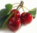 ASS.NE PRODUTTORI CILIEGE COLLINE CESENATI - Roversano ASS.NE PRODUTTORI CILIEGE COLLINE CESENATI - Roversano